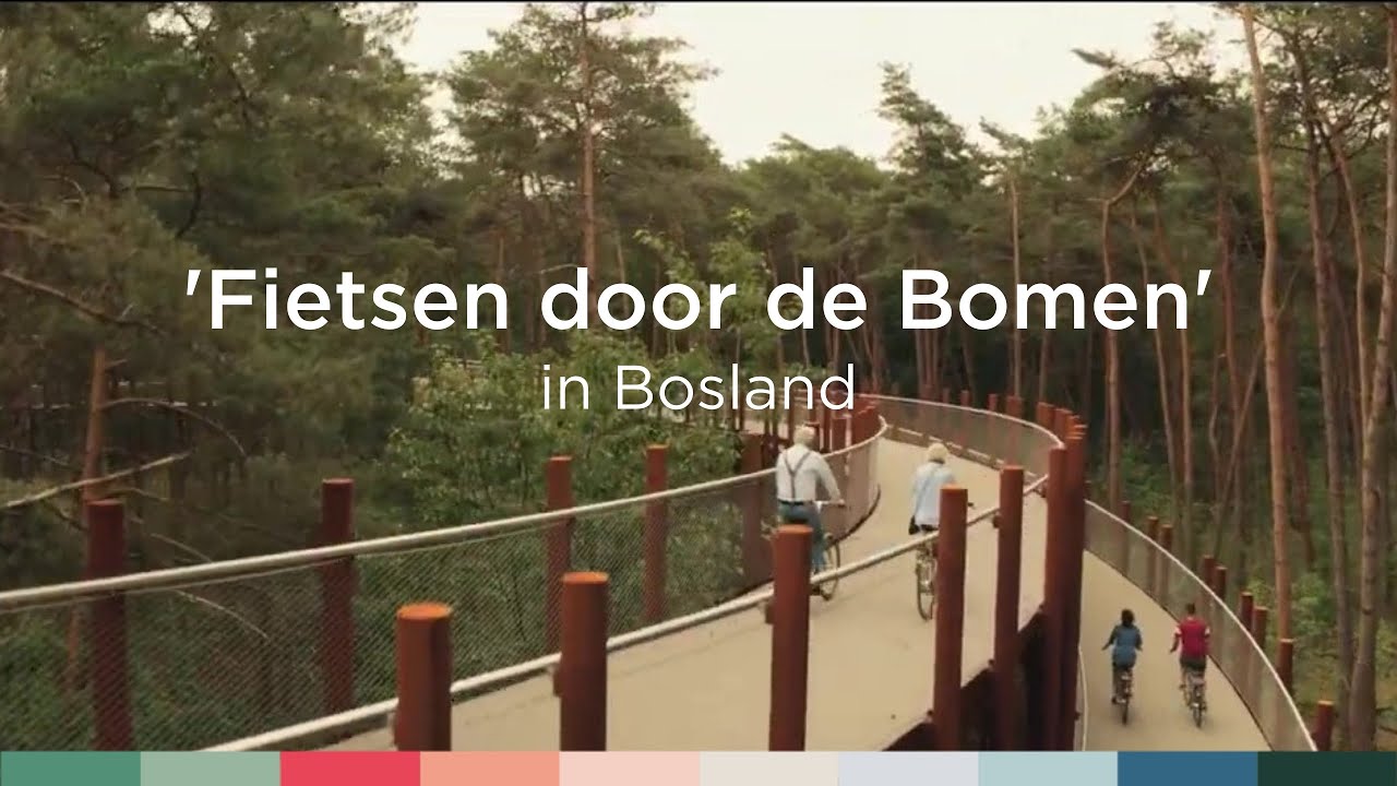 'Fietsen door de Bomen' in Bosland | Visit Limburg