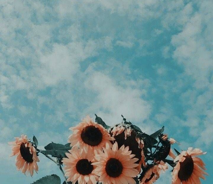 Download Aesthetic Wallpaper By M0Oon - 51 - Free On Zedge™ Now. Browse  Millions Of Popular Aes… | Sunflower Wallpaper, Blue Aesthetic Pastel, Blue  Wallpaper Iphone