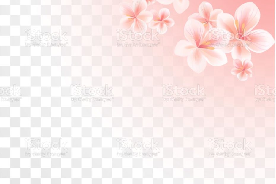 Roze Bloemen Van De Sakura Geïsoleerd Op Transparante Achtergrond Met  Kleurovergang Bloemen Van Apple Kersenbloesem Vector Stockvectorkunst En  Meer Beelden Van Abstract - Istock